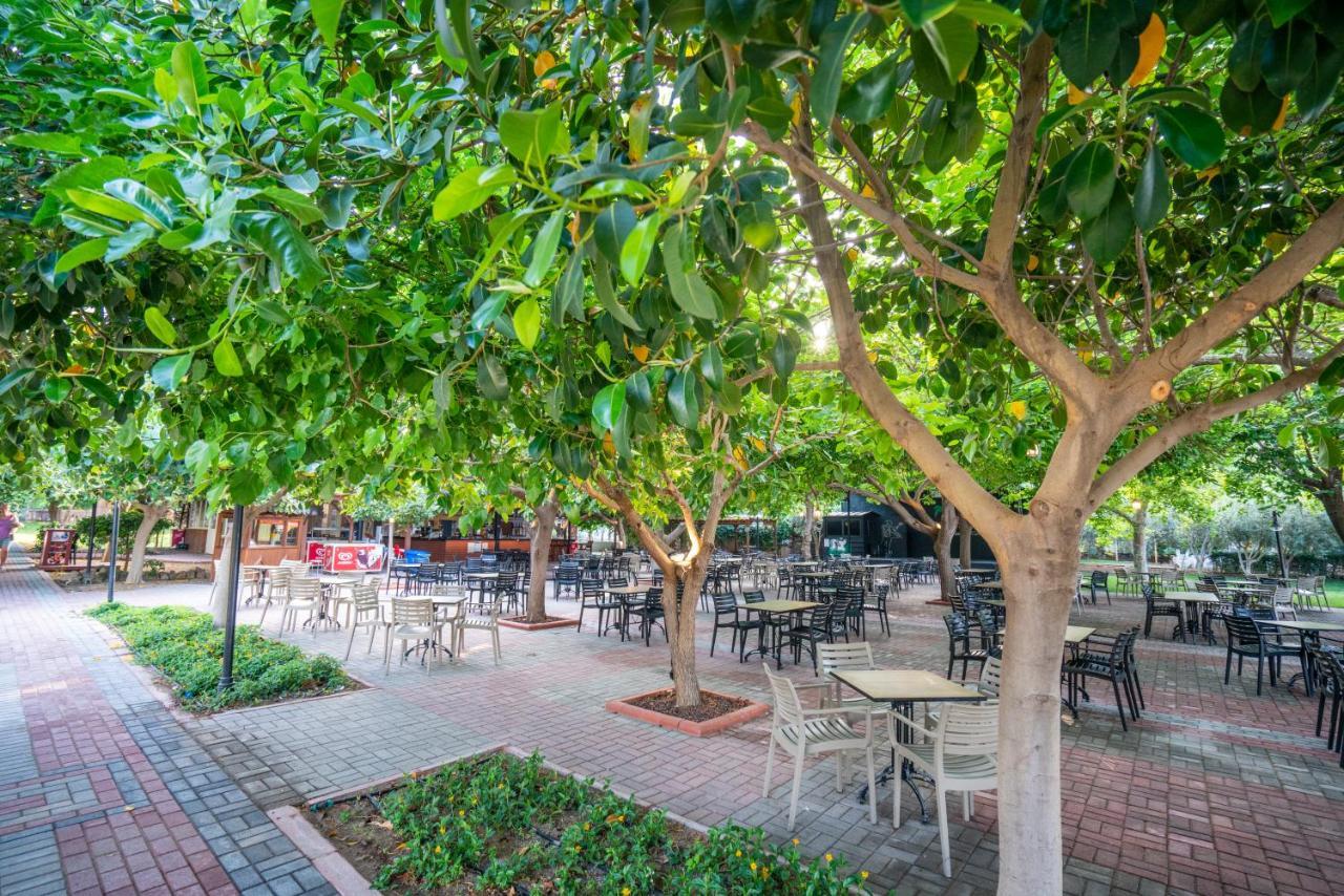 Gardenia Beach Hotel Alanya Eksteriør billede